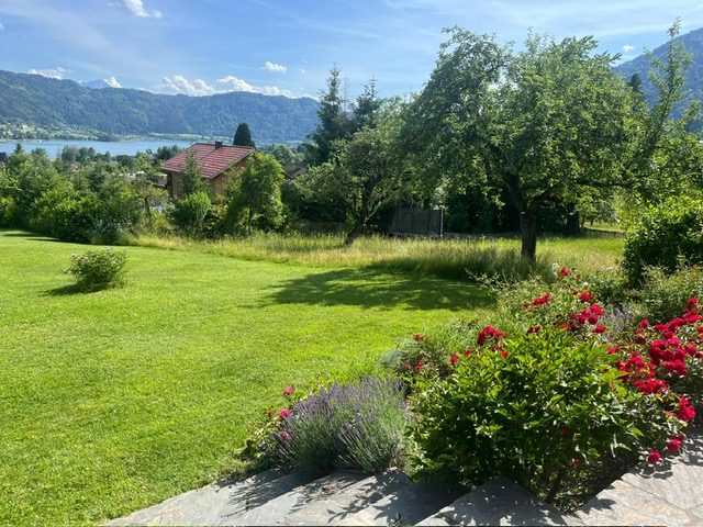 Garten mit Baum und Blick über den See auf die Berge