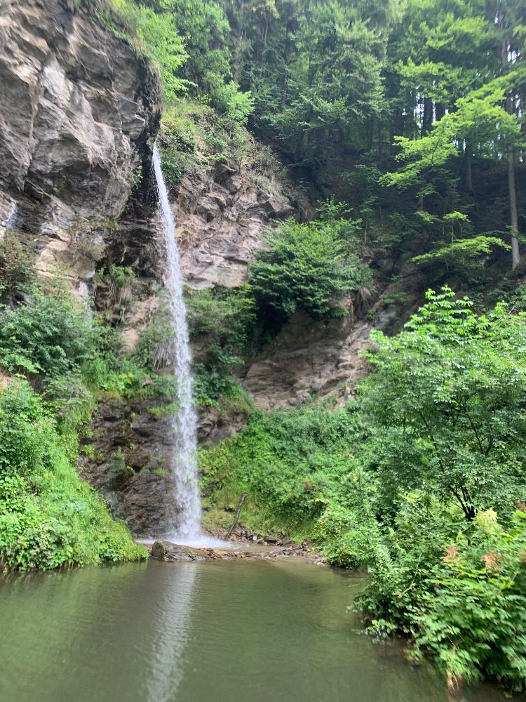 Wasserfall in grüner Schlucht im Sommer